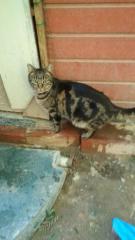 Ania un amor Ania un amor